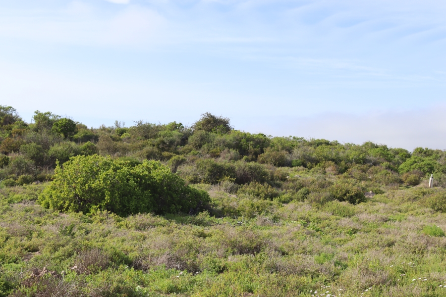 0 Bedroom Property for Sale in Shelley Point Western Cape